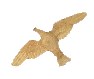 En due med udbredte vinger